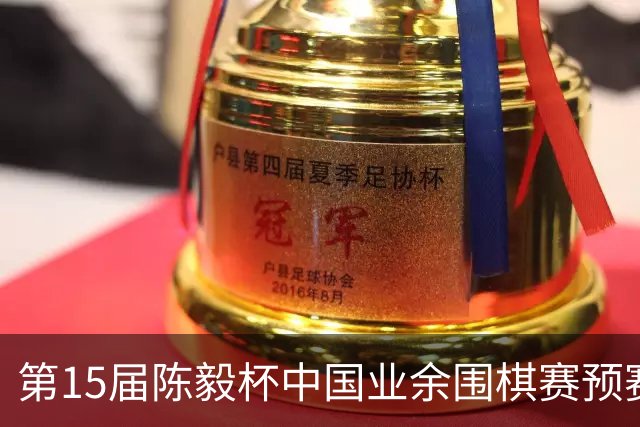 第15届陈毅杯中国业余围棋赛预赛收官 本赛阵容出炉